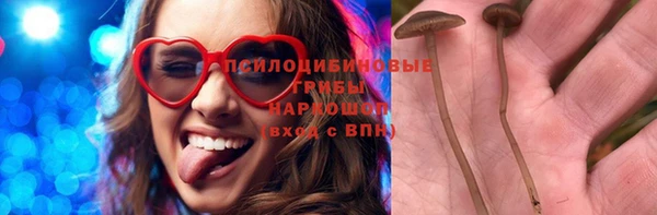соль курить ск Алзамай