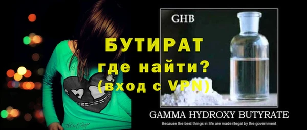 индика Алексин