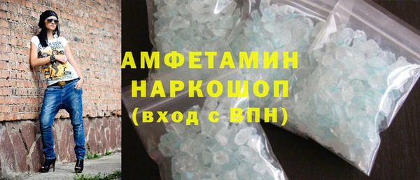 индика Алексин
