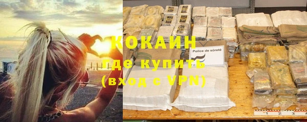 прущие грибы Краснотурьинск