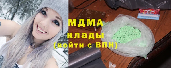 индика Алексин