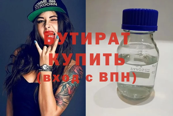 индика Алексин
