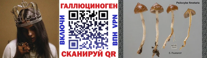 Галлюциногенные грибы мицелий  даркнет сайт  Юрьевец 